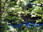 画像 078.jpg
