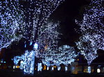 画像 105.jpg