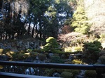 DSC09699.JPG