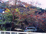 画像 005.jpg
