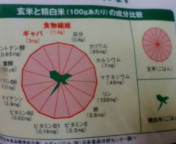20080418234829.jpg