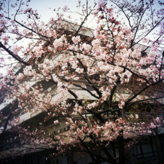 image-20120403153201.png