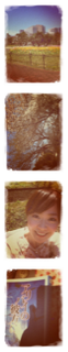 image-20120406143939.png